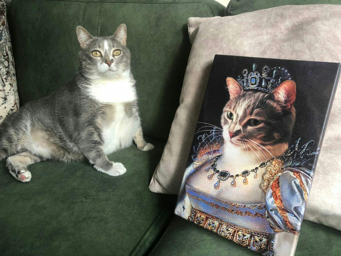 kraliçe tekir kedi tablosu