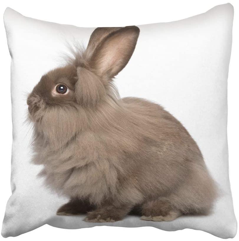 tavşan tasarımlı yastık