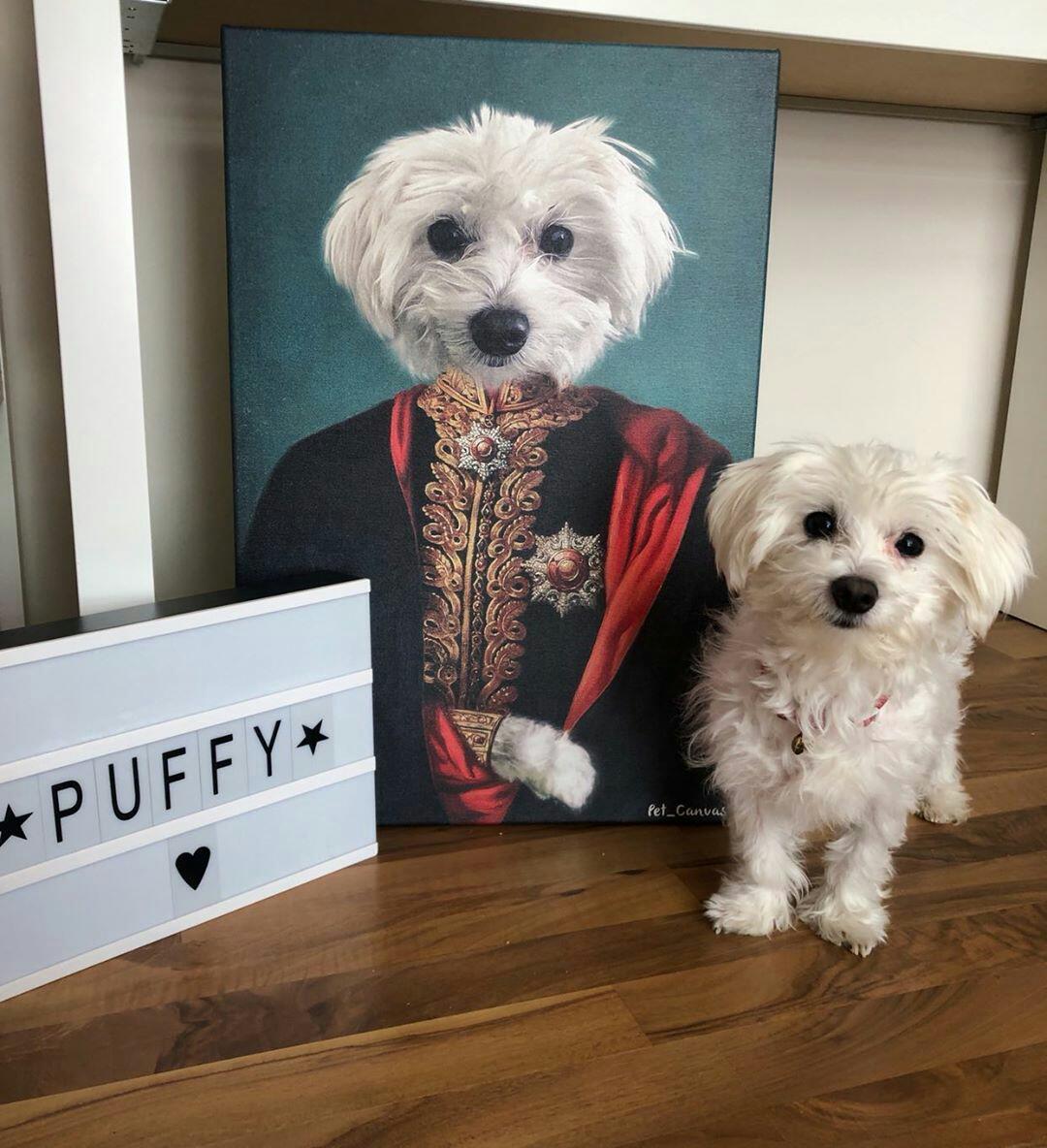 puffy the maltese sultan portrait2