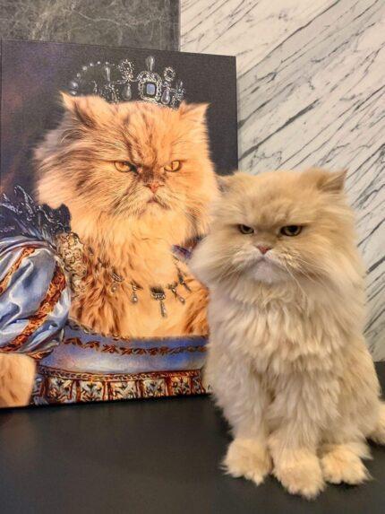 sarı iran kedisi kraliçe tablosu