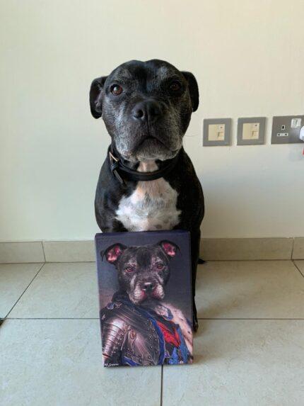 pitbull köpek şövalye pet canvas tablosu
