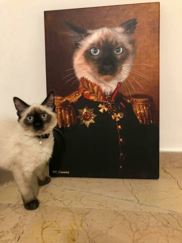 general siyam kedisi tablosu