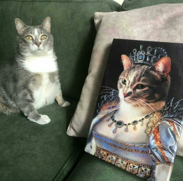 şişman kedi kraliçe kostüm
