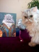 iran kedili kraliçe tablo