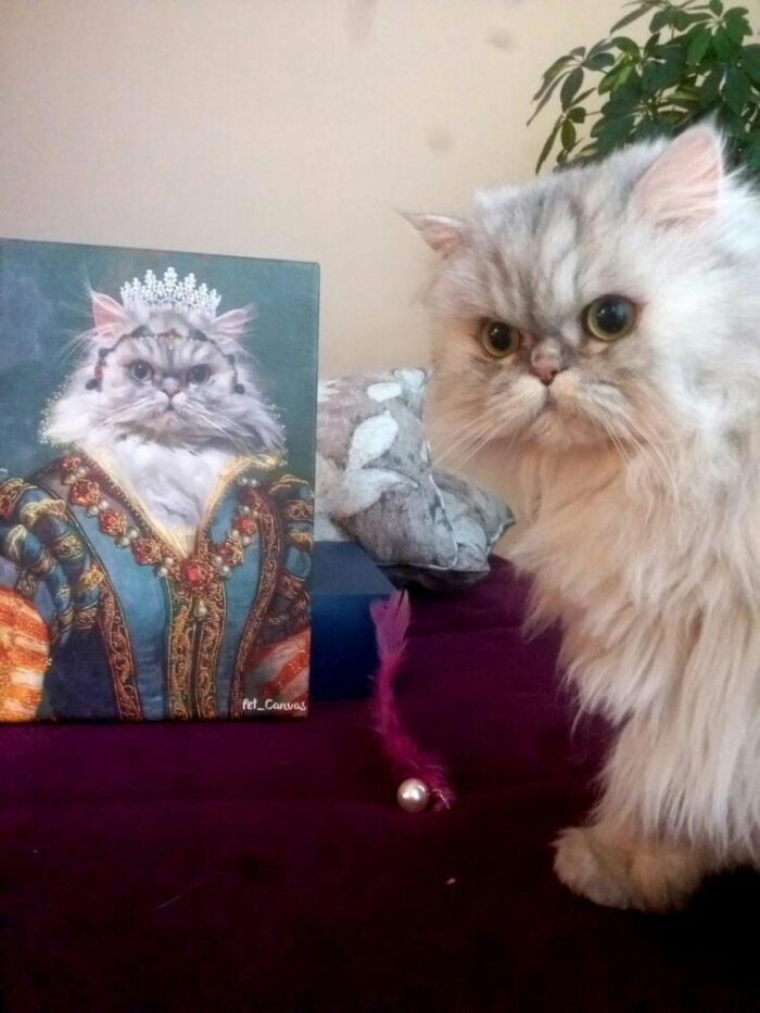 iran kedili kraliçe tablo