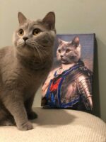iskoç kedi şövalye evcil hayvan tuval tablosu