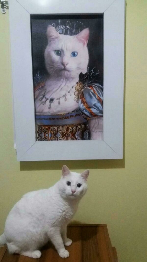 çerçeveli beyaz van kedisi tablo