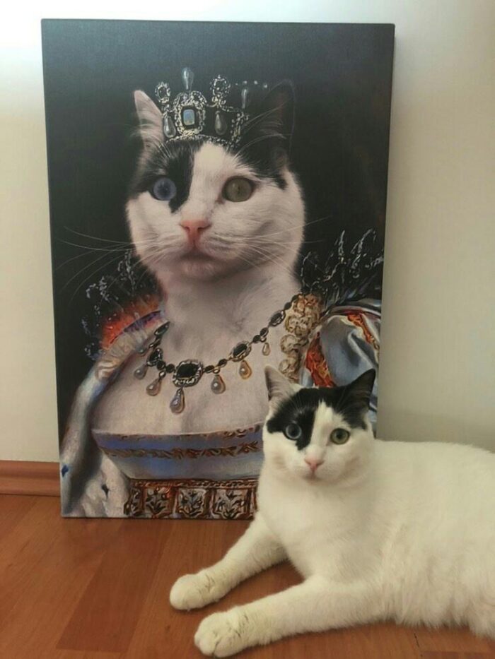 siyah beyaz kraliçe kedi tablosu