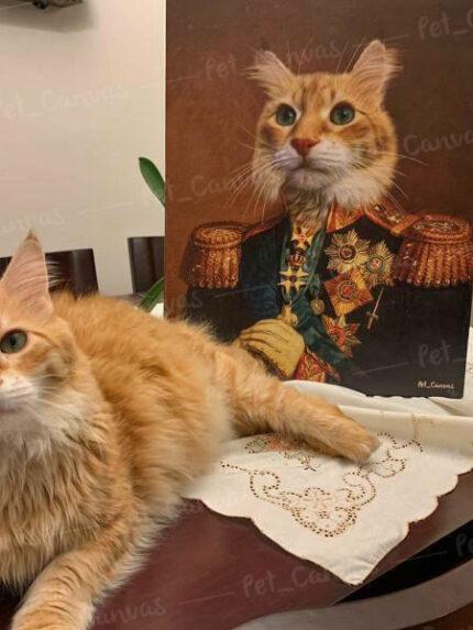 Sarman kedi genel portre petcanvas