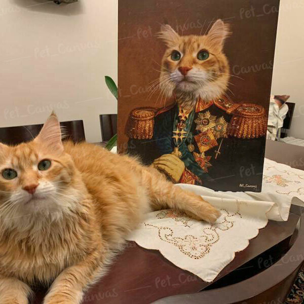 Sarman kedi general portre petcanvas