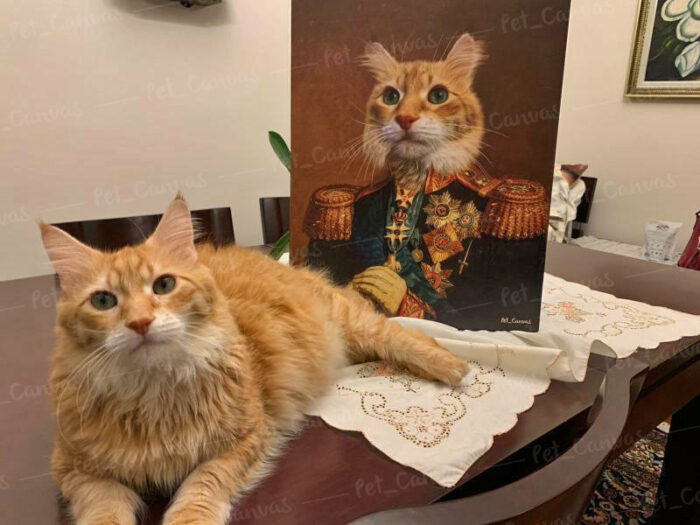 Sarman kedi general portre petcanvas