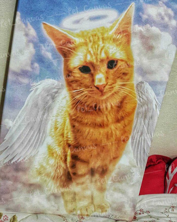 Melek kanatlı sarmal kedi tablosu