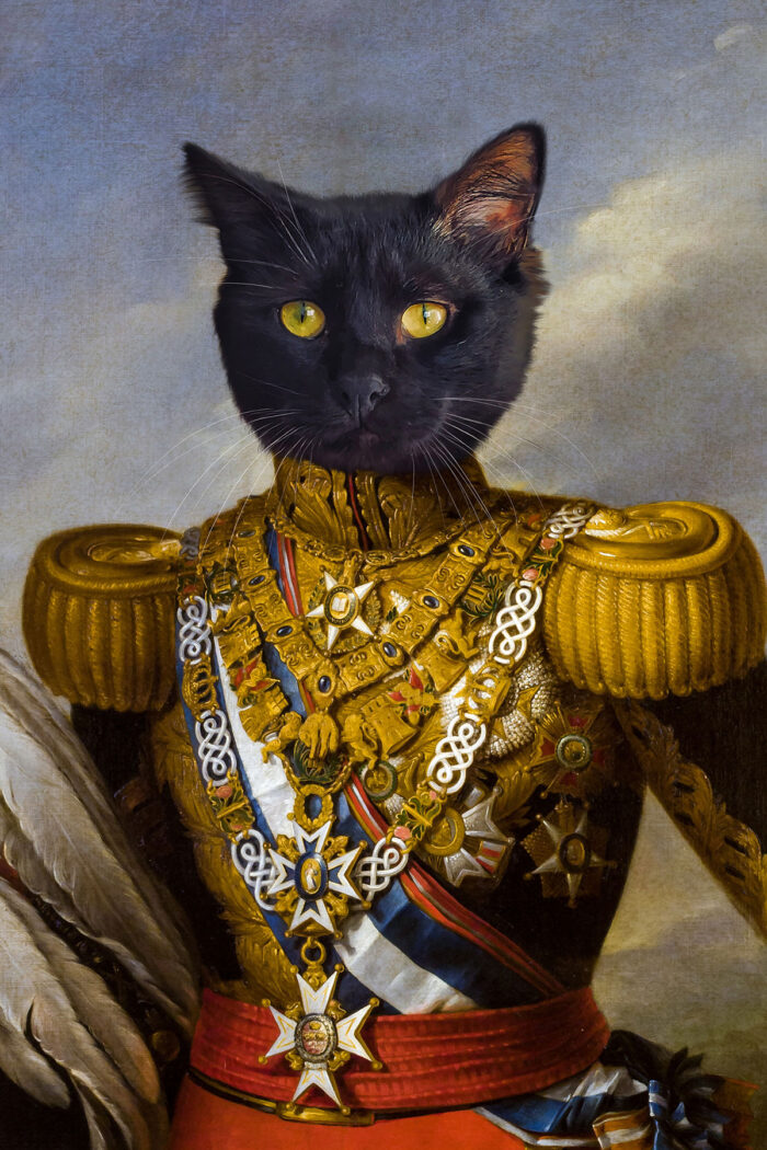 siyah kedili altın general tasarım