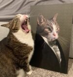 rönesans temalı kedi tablosu
