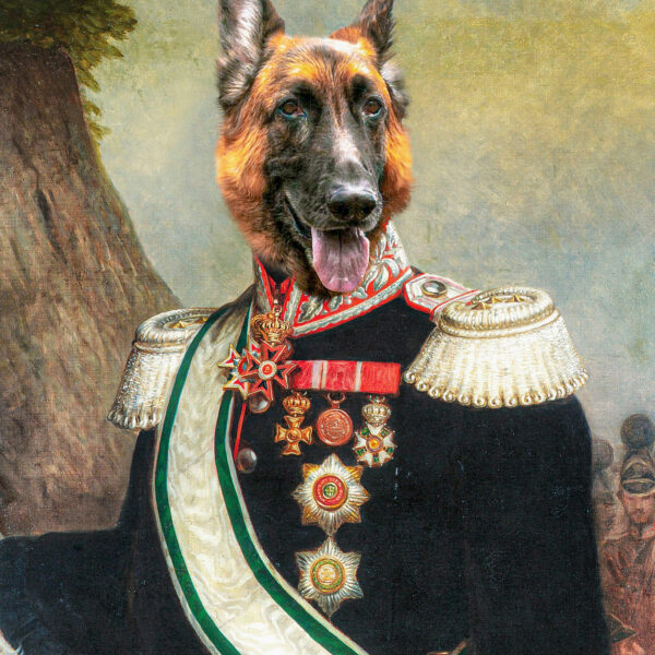 k9 general köpek tablosu