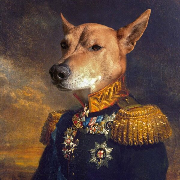 kişiye özel general köpek tablo