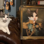 askeri van kedi tablosu