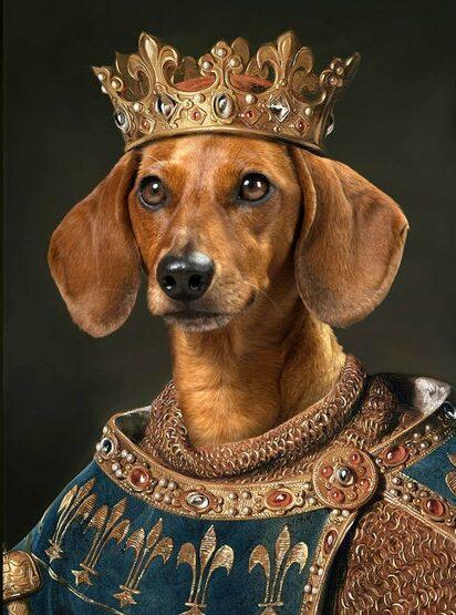 kral sosis köpek tasarımı