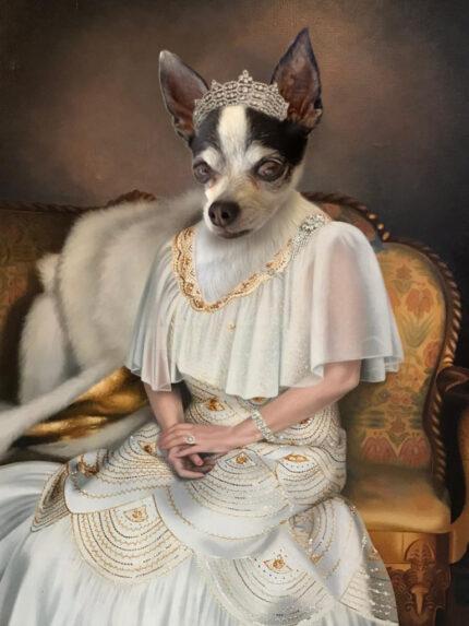 yaşlı kraliçe chiwuawua köpek