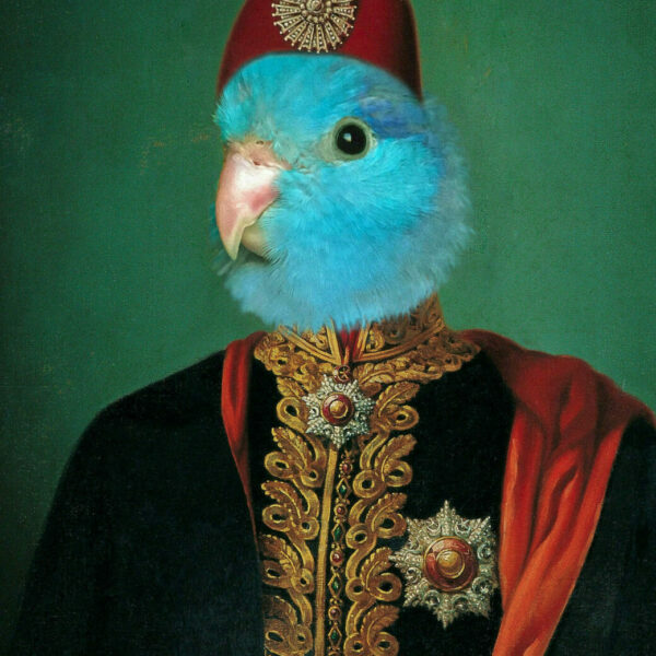 osmanlı paşa papağan kostümü