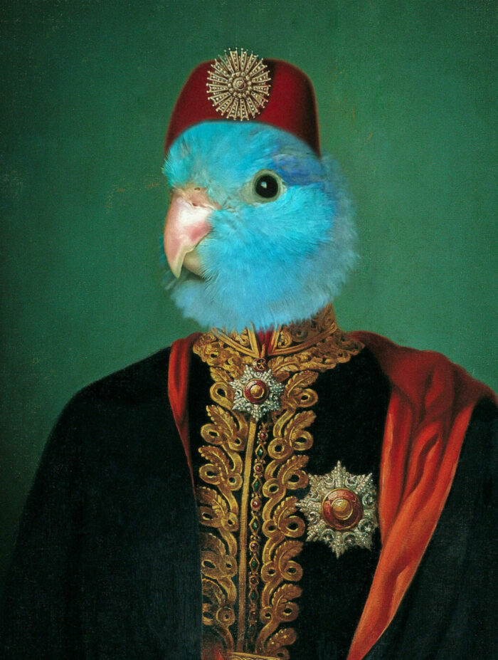 osmanlı paşa papağanı kostümü