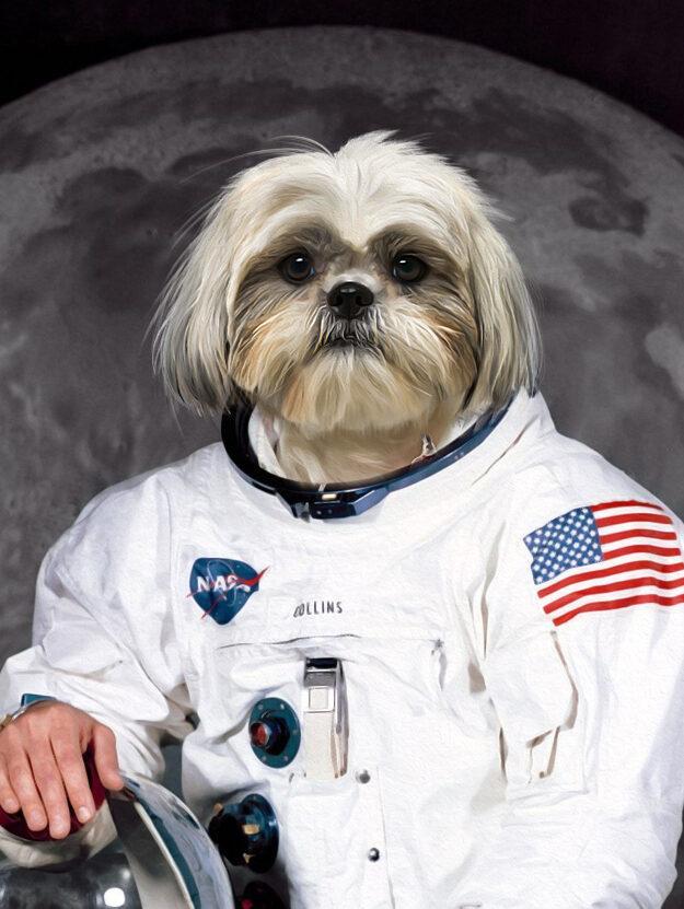 shihtzu köpek astronot kanvas tablo
