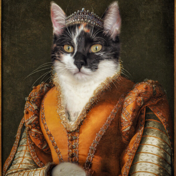 kraliçe kedi tablo tasarımı