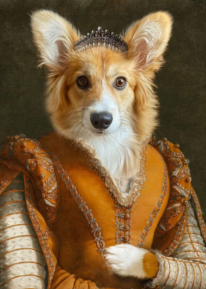 Corki kraliçe köpek tablosu