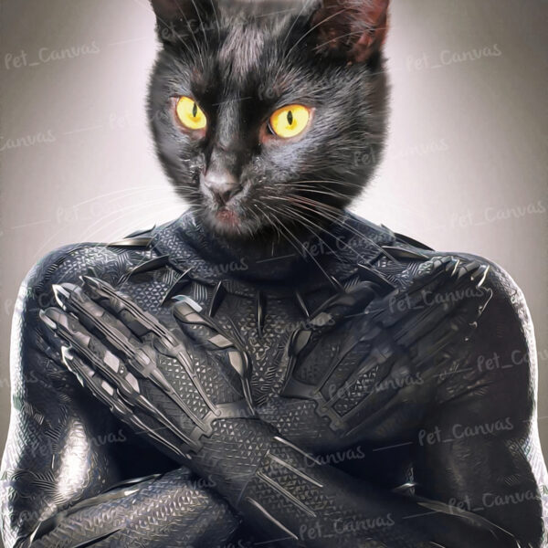 süper kahraman kedi panter