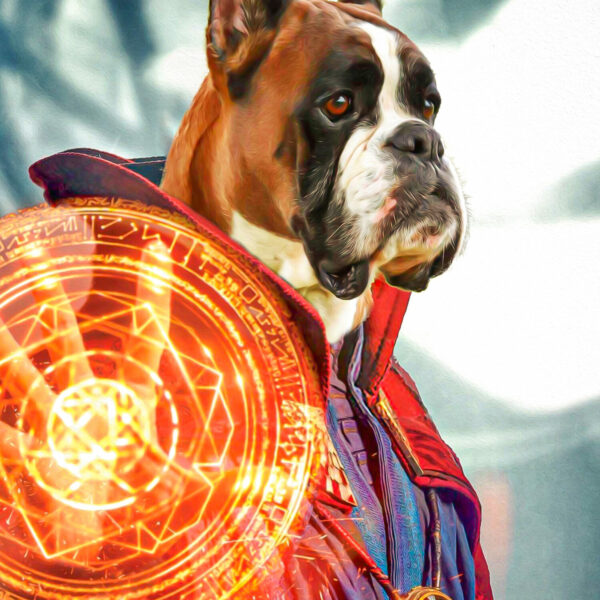 Dr Strange Avengers Pet Tablosu