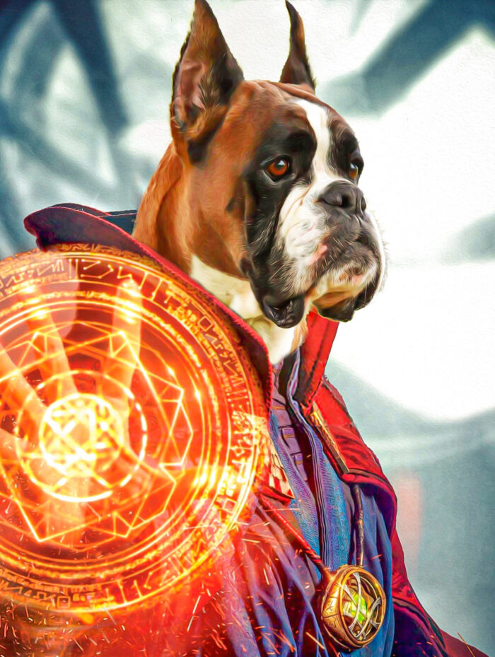 Dr. Strange Avengers Pet Tablosu