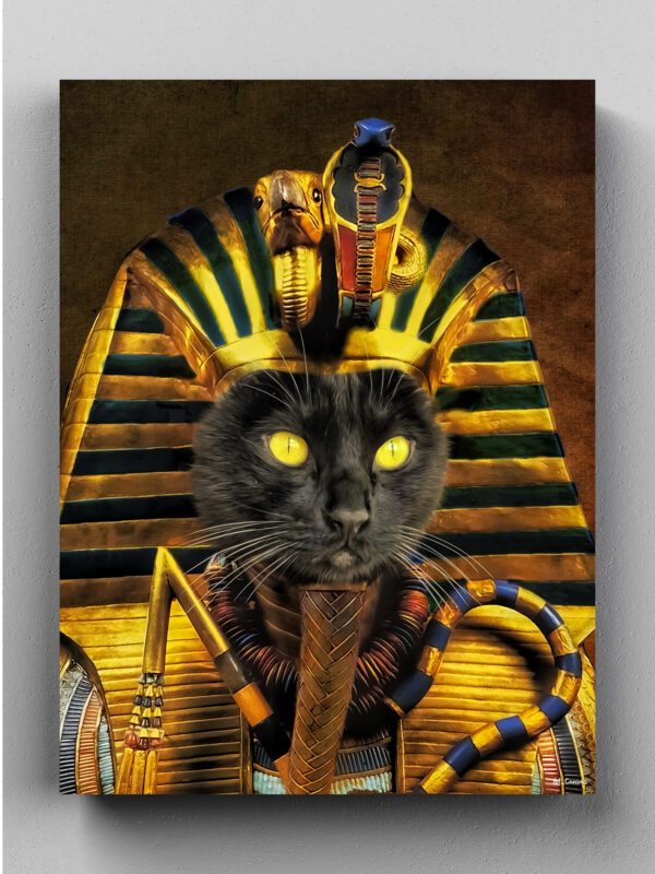 firavun kara kedi cizim