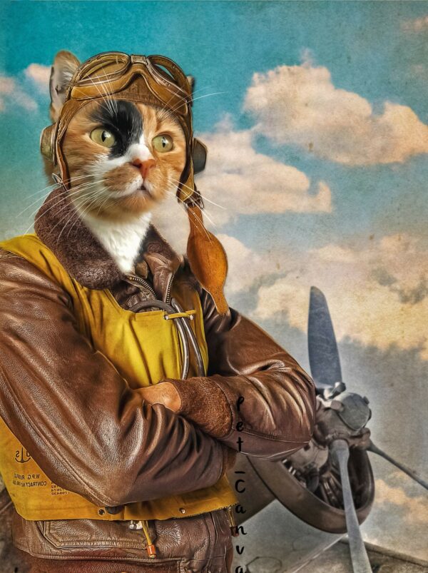 kedi savaş pilotu tablosu