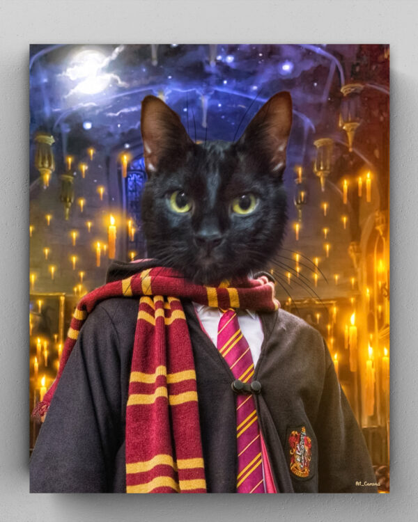 harry potter sihirbaz kara kedi