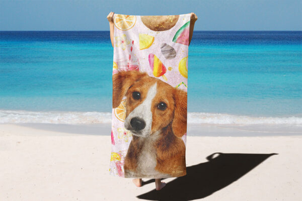 özel yaz dondurmalı desenli köpekli plaj havlusu