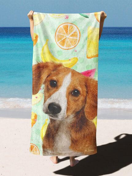 özel yaz desenli köpekli plaj havlusu