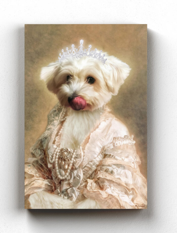 maltese terrier kraliçe pet kanvas tablosu