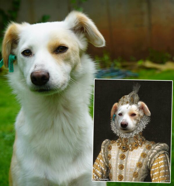 Evcil Hayvanlı rönesans portre tasarım öncesi ve sonrası