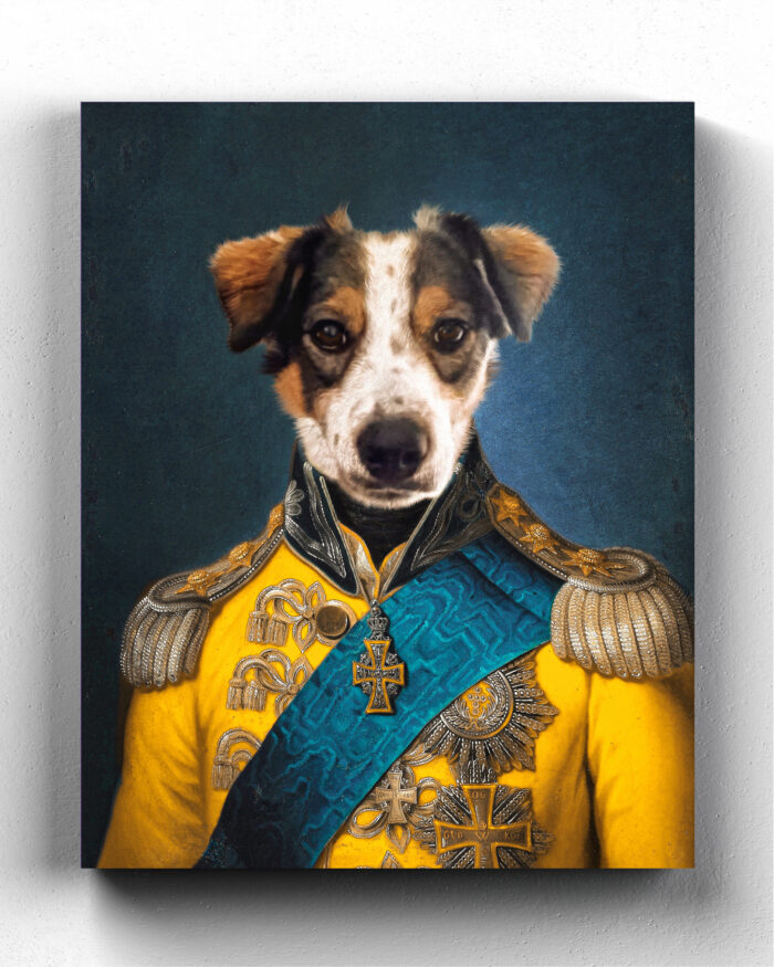 admiral kostümlü köpek pet tablo
