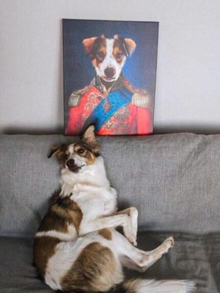 amiral köpek tablosu