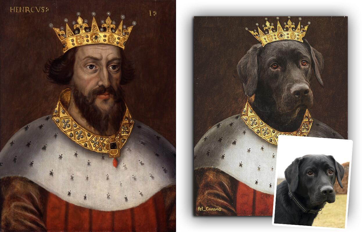 kraliyet taçlı kahverengi labrador portresi