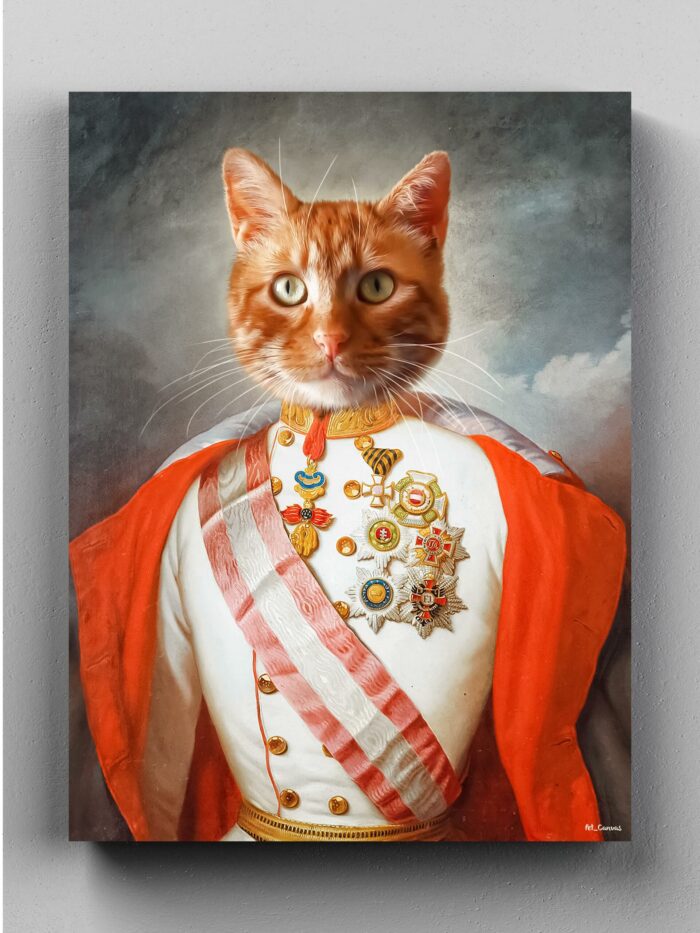 turuncu sarman kedi general