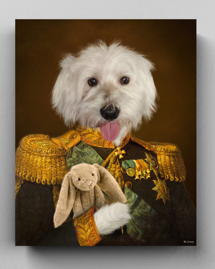 maltese terrier köpek genel tablo