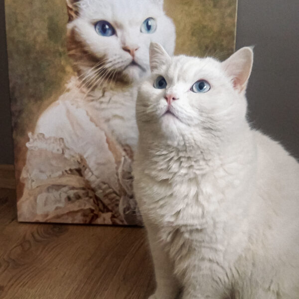 özel tasarım kraliçe van kedi portresi