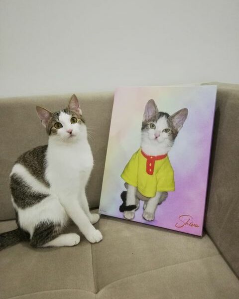 pembe kedi tablosu