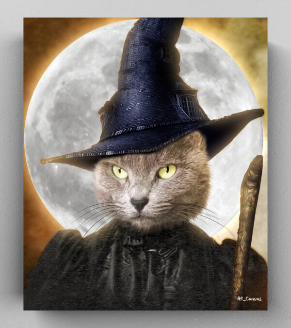 Cadı Kedi Kostümü
