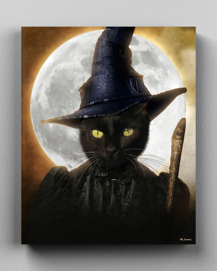 kara kedi cadı kostümü