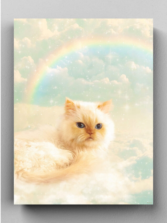 gökkuşağı cennet bulut kedi tablosu