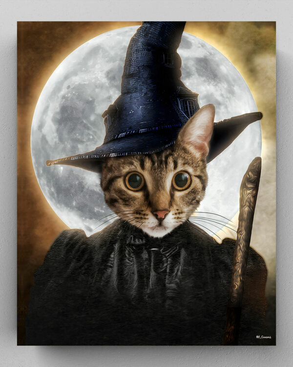 tekir kedi cadı kostümü