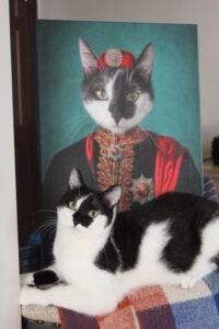 royal ottoman sultan cat portrait